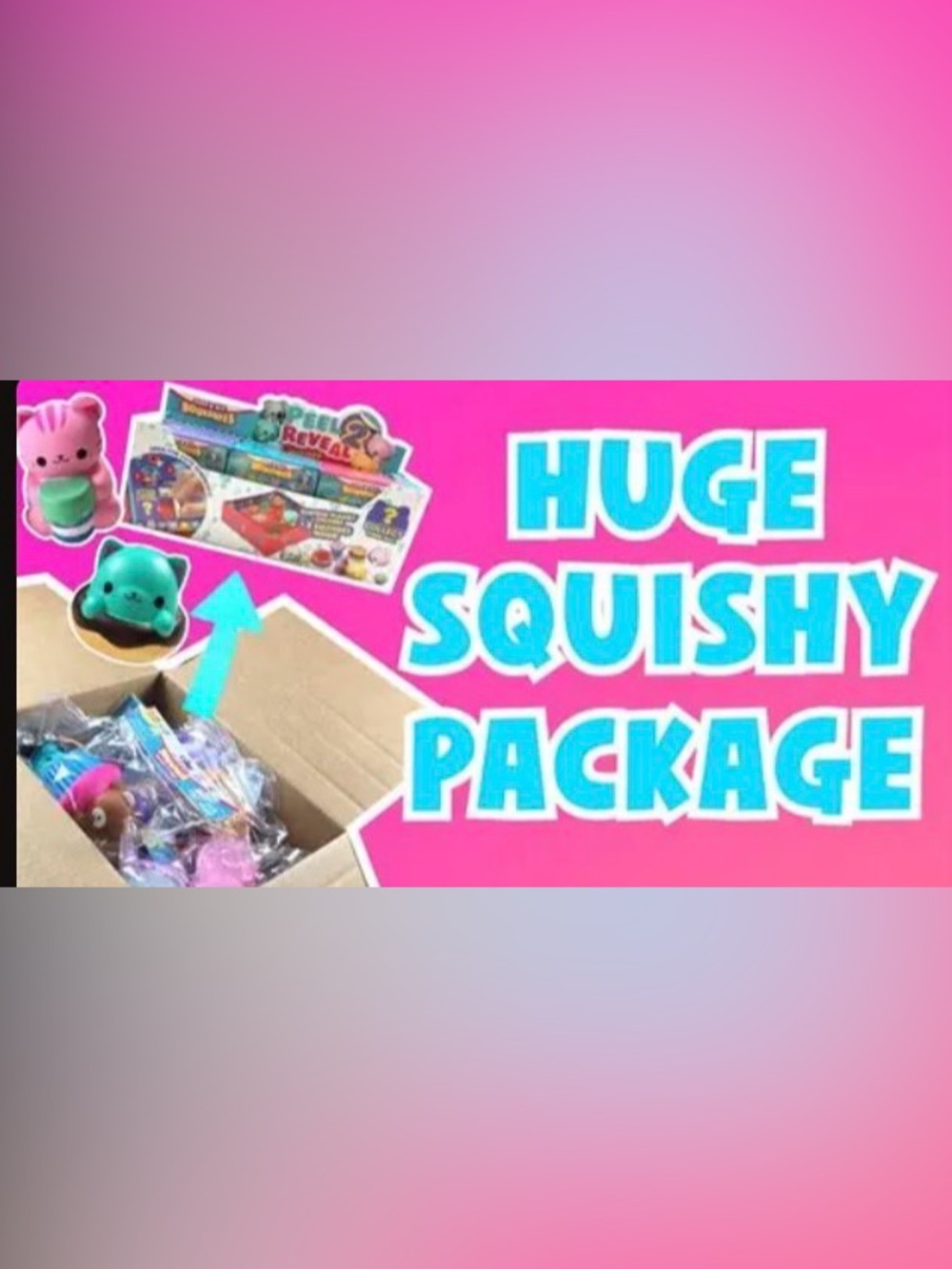 Mystery Squishy Box- 150$ value